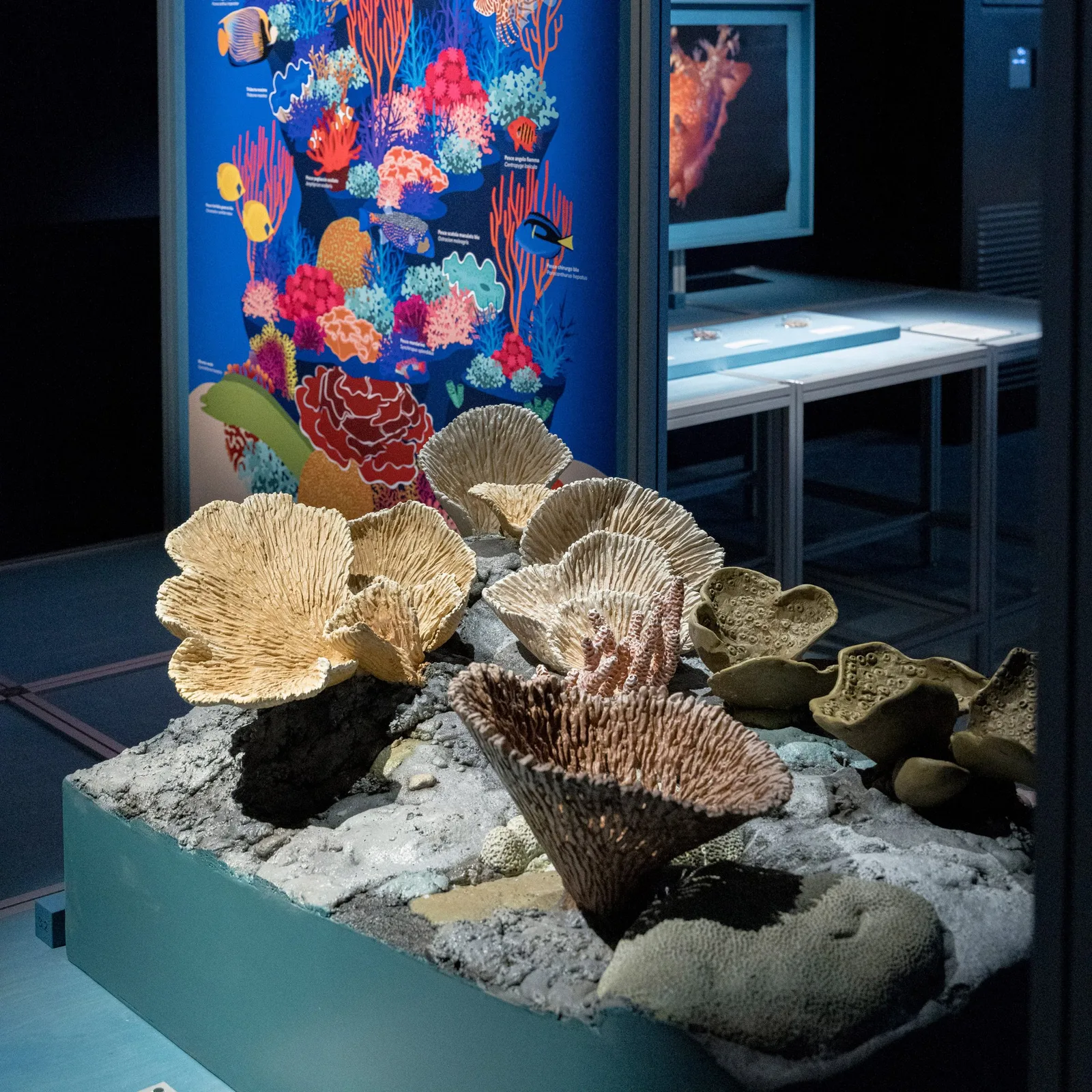 展台上的海洋生物模型与彩色展板，“海洋与气候村”展览现场